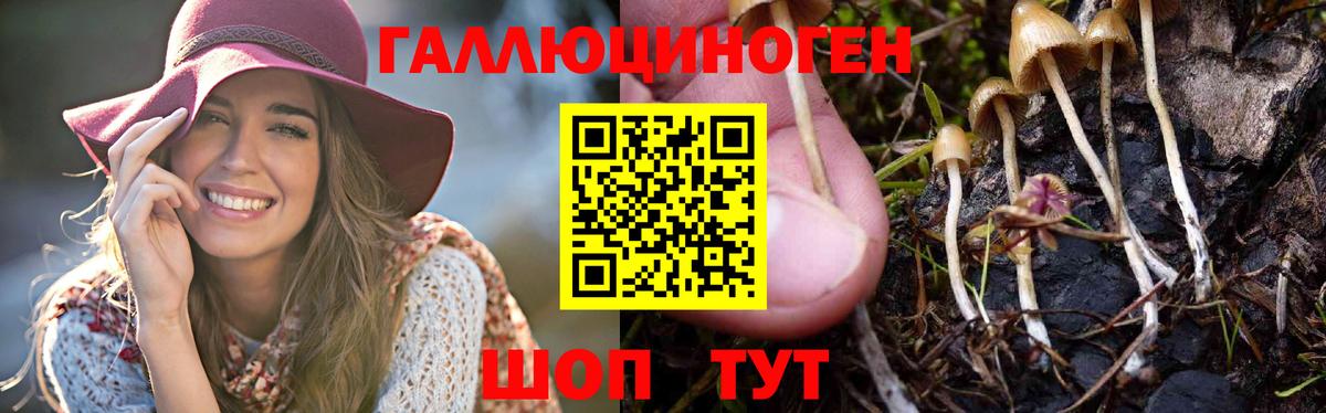 Новочеркасск  Галлюциногенные грибы ЛСД  Псилоцибиновые грибы Psilocybe  Вход с VPN 