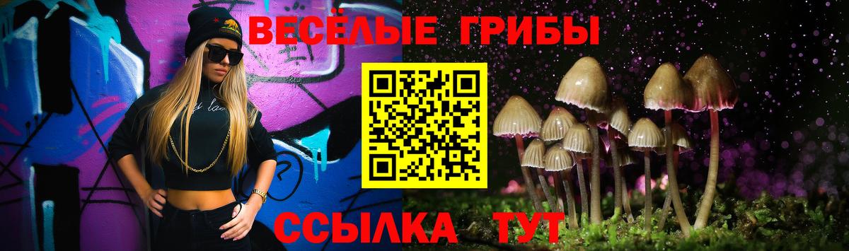 Галлюциногенные грибы GOLDEN TEACHER Новочеркасск
